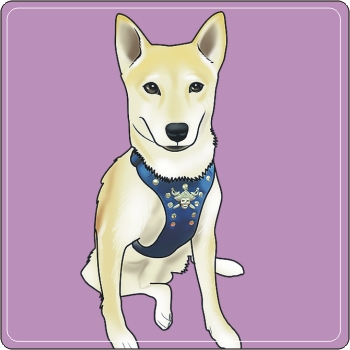 寵物Q版畫 拉不拉多Q版畫 PNP-004